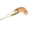 SE - Shiba Shrimp